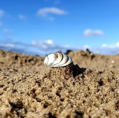 De Brinkparel De Koog (Texel)