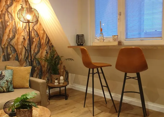 Gasthuis De Brinkparel De Koog (Texel)