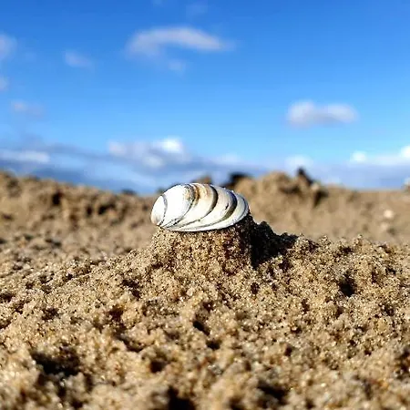 De Brinkparel De Koog (Texel)